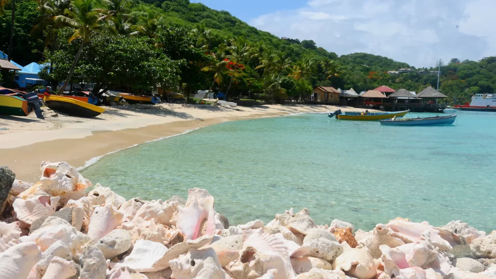 セントヴィンセント・グレナディーン