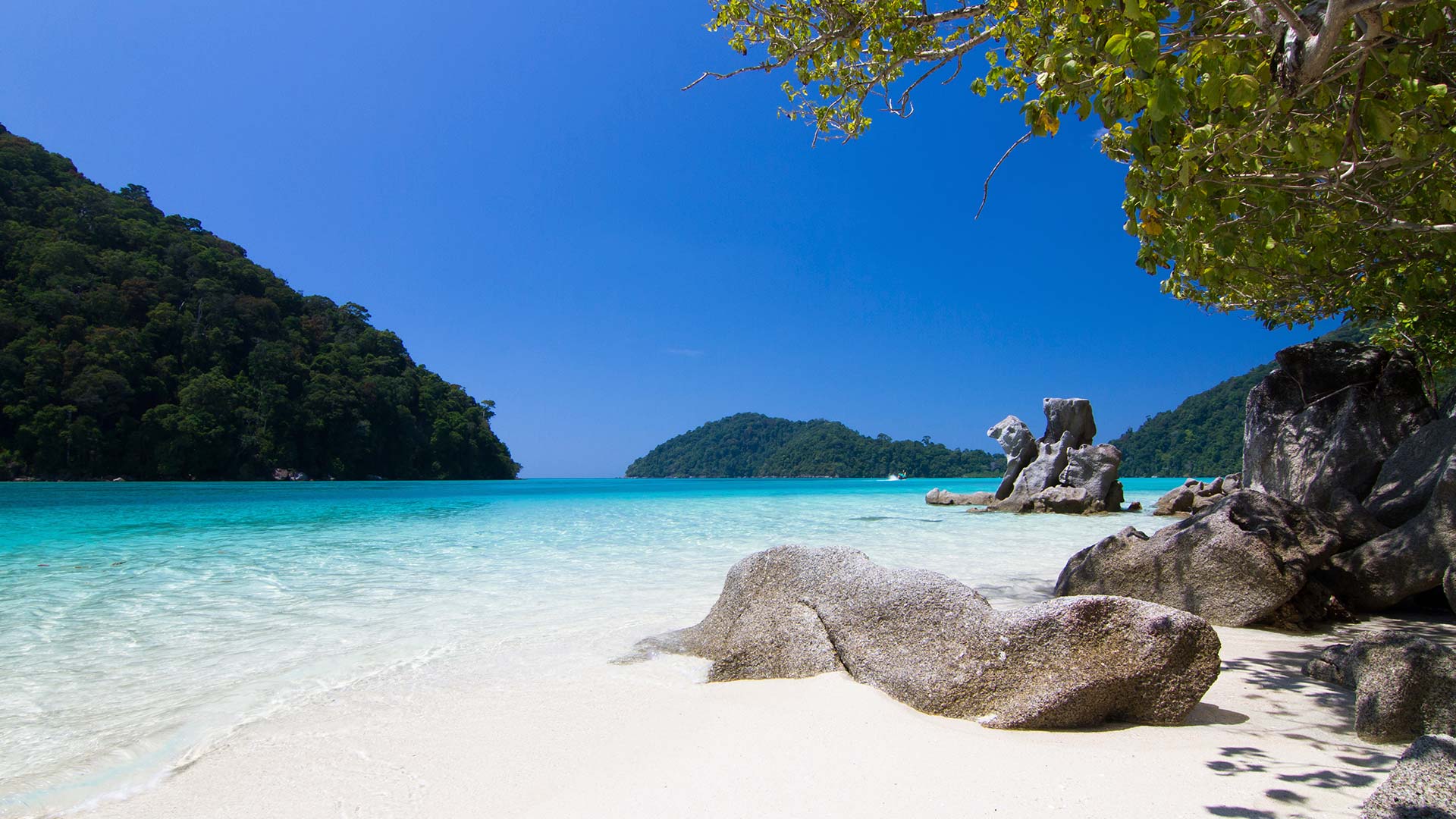 アジアとインド洋